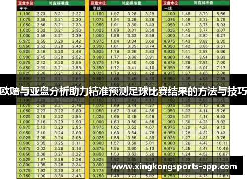 欧赔与亚盘分析助力精准预测足球比赛结果的方法与技巧